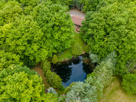 propery image
